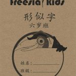 Chi6yrsactxinshizhiCover