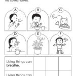 science6-activity_pg3